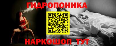 крисы Бузулук