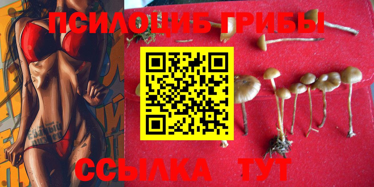 наркотики  Галлюциногенные грибы прущие грибы  Вход с VPN  Нальчик  Псилоцибиновые грибы Cubensis 